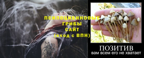 марки lsd Абаза
