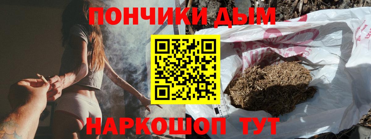 Кингисепп  Каннабис сатива  Марихуана Bruce Banner  Вход с VPN  Бошки марихуана Bruce Banner 